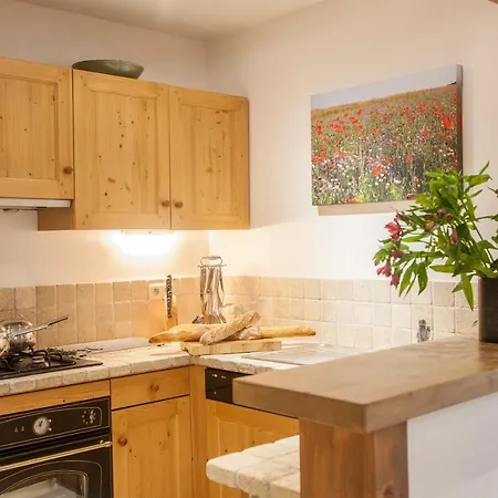 Апартаменты Petite Savoyarde - Шамони